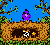 screenshots/Game Boy Color/Hamtaro - Ham-Hams Unite!/Hamtaro - Ham-Hams Unite! (Eng) 998.png